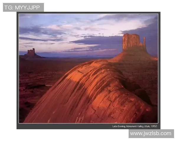 亚当斯的传奇人生与科学探索之旅：从理论到实践的辉煌历程