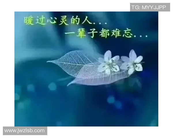 何思雨的成长之路与心灵探索：在逆境中绽放的勇气与智慧