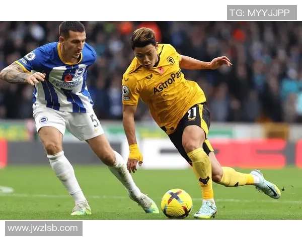 伯恩茅斯与狼队精彩对决全场回顾与分析 伯恩茅斯与狼队精彩对决全场回顾与分析