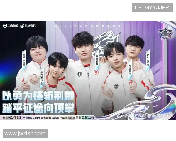 王者荣耀背后的奋斗与荣耀：TES战队成长与突破的真实故事