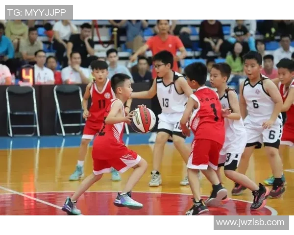 篮球明星梅的辉煌历程与不屈精神如何激励年轻一代追逐梦想